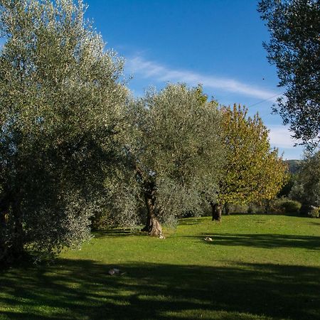 Villa La Sassaia à Carmignano Extérieur photo