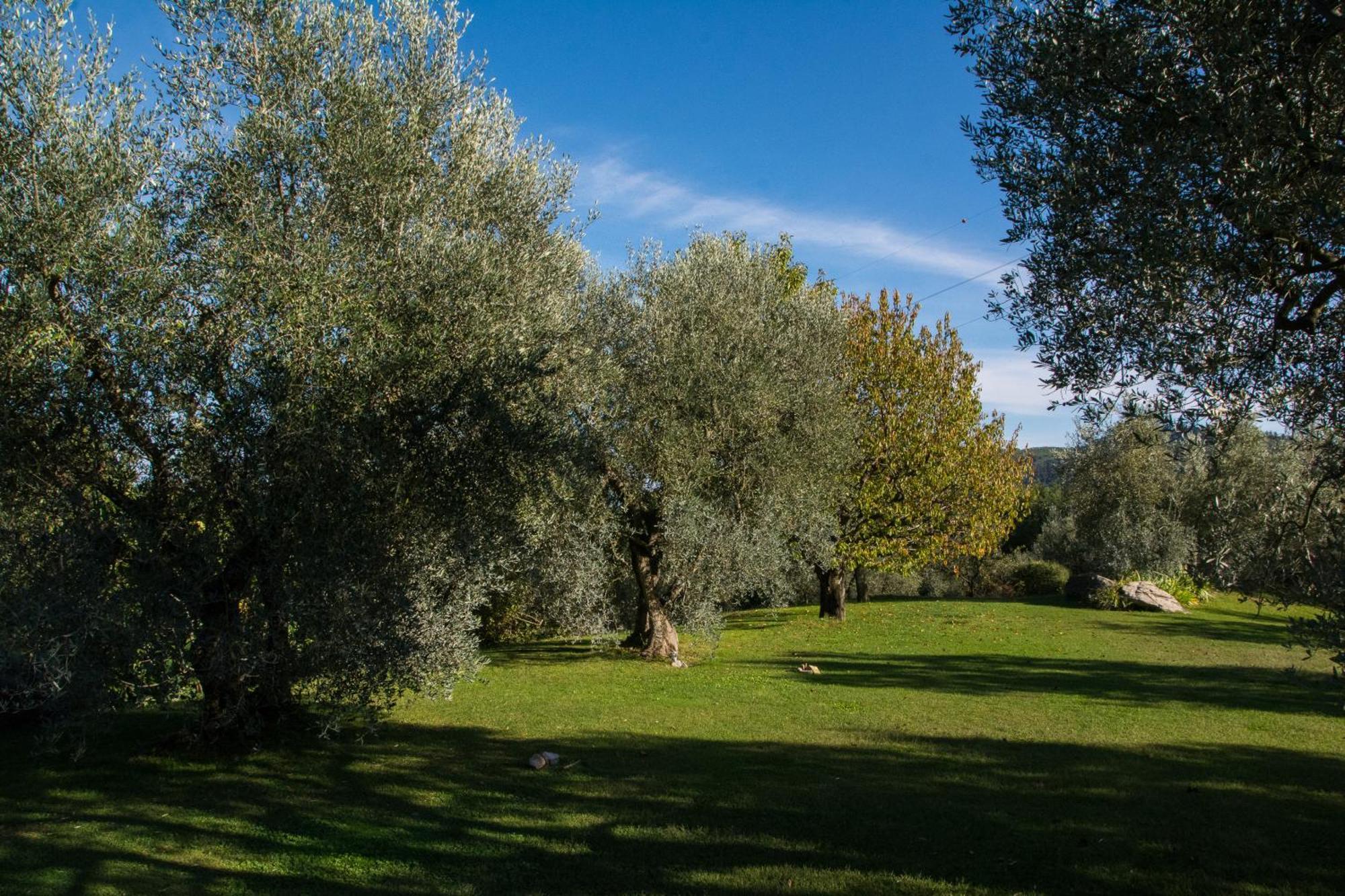 Villa La Sassaia à Carmignano Extérieur photo
