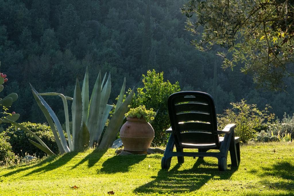 Villa La Sassaia à Carmignano Extérieur photo