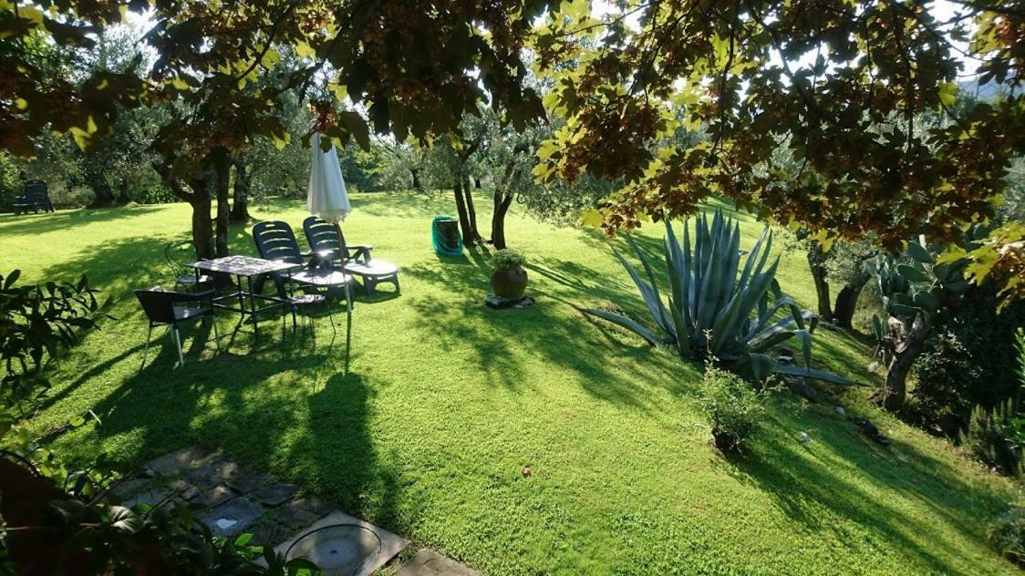Villa La Sassaia à Carmignano Extérieur photo